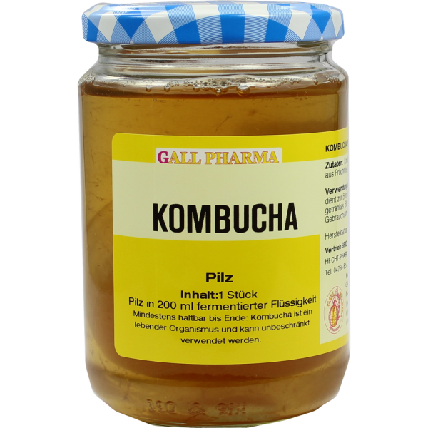 KOMBUCHA TEEPILZ