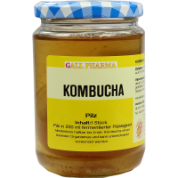 KOMBUCHA TEEPILZ