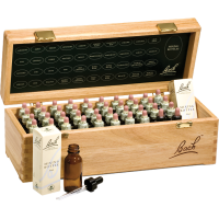 BACHBLÜTEN 20 ml Set Tropfen