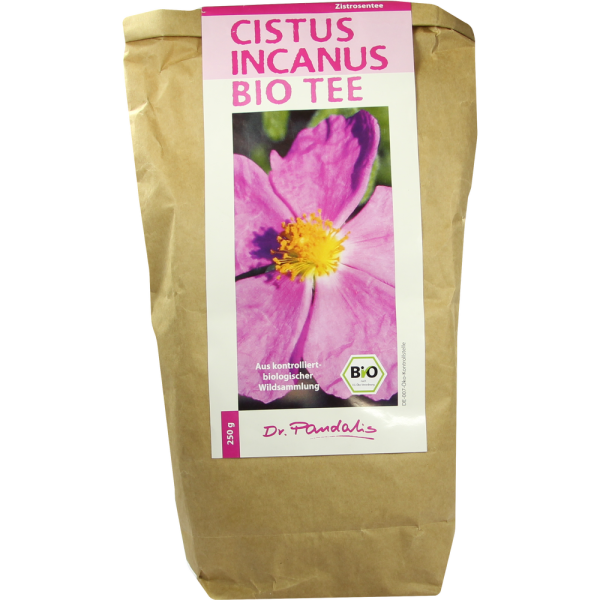 CISTUS INCANUS Bio Tee