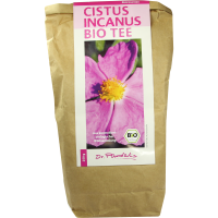 CISTUS INCANUS Bio Tee