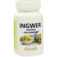 INGWER KAPSELN 300 mg