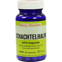 SCHACHTELHALM KAPSELN