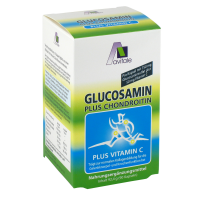 GLUCOSAMIN 750 mg+Chondroitin 100 mg Kapseln