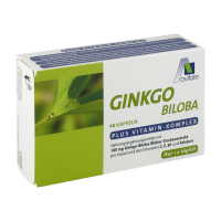 GINKGO 100 mg Kapseln+B1+C+E