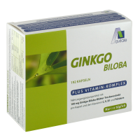 GINKGO 100 mg Kapseln+B1+C+E