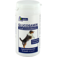 GLUCOSAMIN+CHONDROITIN Kapseln für Hunde