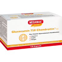 GLUCOSAMIN 750 Chondroitin Plus Megamax Kapseln