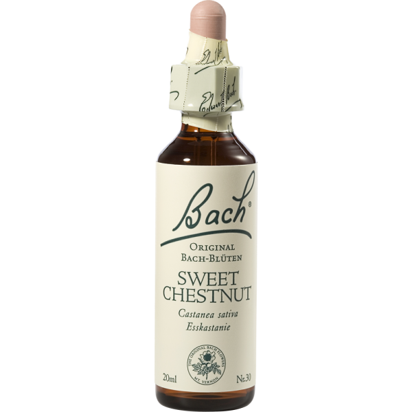BACHBLÜTEN Sweet Chestnut Tropfen