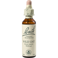 BACHBLÜTEN Wild Oat Tropfen