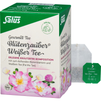 WEISSER TEE Blütenzauber Bio Salus Filterbeutel