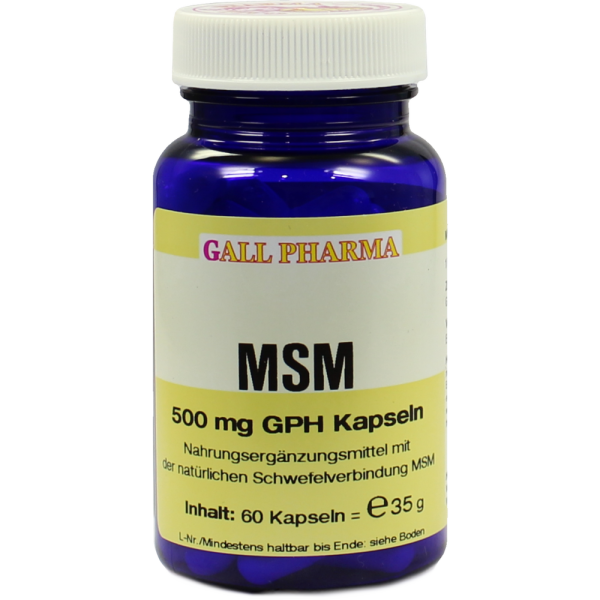 MSM 500 mg GPH Kapseln