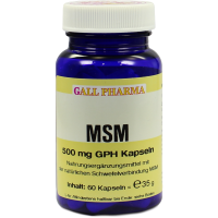 MSM 500 mg GPH Kapseln