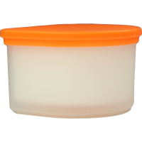 PROTHESENBOX Hygiene m.Einsatzkorb