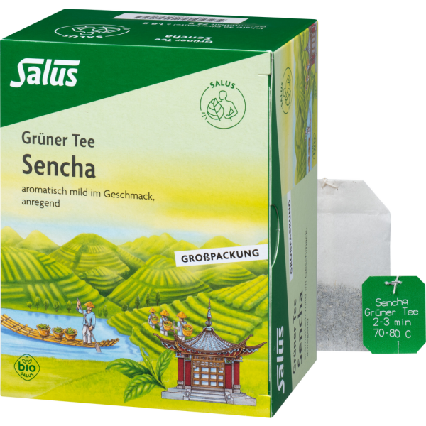 GRÜNER TEE Bio Salus Filterbeutel Großpackung