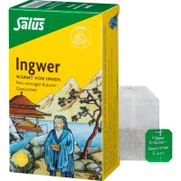 INGWER KRÄUTER-GEWÜRZTEE Salus Filterbeutel