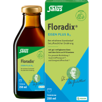 FLORADIX Eisen plus B12 vegan Tonikum