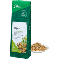 INGWER GEWÜRZTEE Zingiber officinale Bio Salus