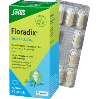 FLORADIX Eisen plus B12 vegan Kapseln