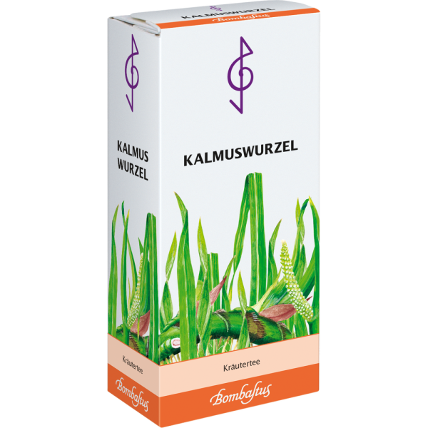 KALMUSWURZELTEE