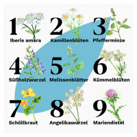 Iberogast Classic Fl&uuml;ssigkeit 20 ml