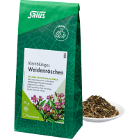 WEIDENRÖSCHENKRAUT kleinblütig Tee Salus