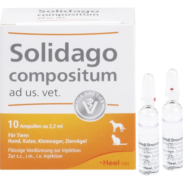 SOLIDAGO COMPOSITUM ad us.vet.Ampullen