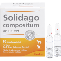 SOLIDAGO COMPOSITUM ad us.vet.Ampullen