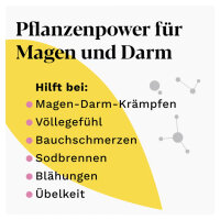 Iberogast Classic Fl&uuml;ssigkeit 50 ml