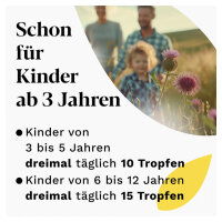 Iberogast Classic Fl&uuml;ssigkeit 50 ml