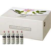 BACHBLÜTEN 10 ml Set Tropfen